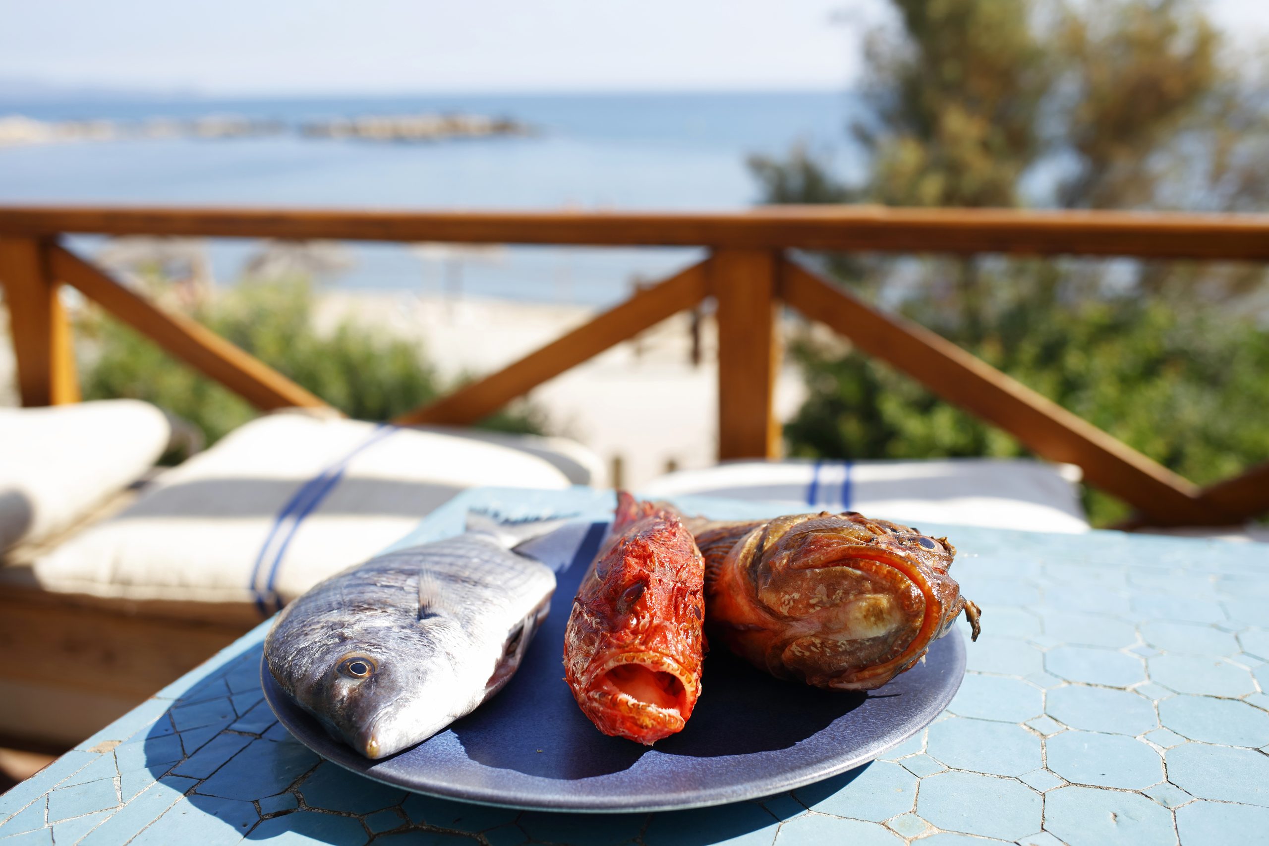 HOSTAL EMPURIES