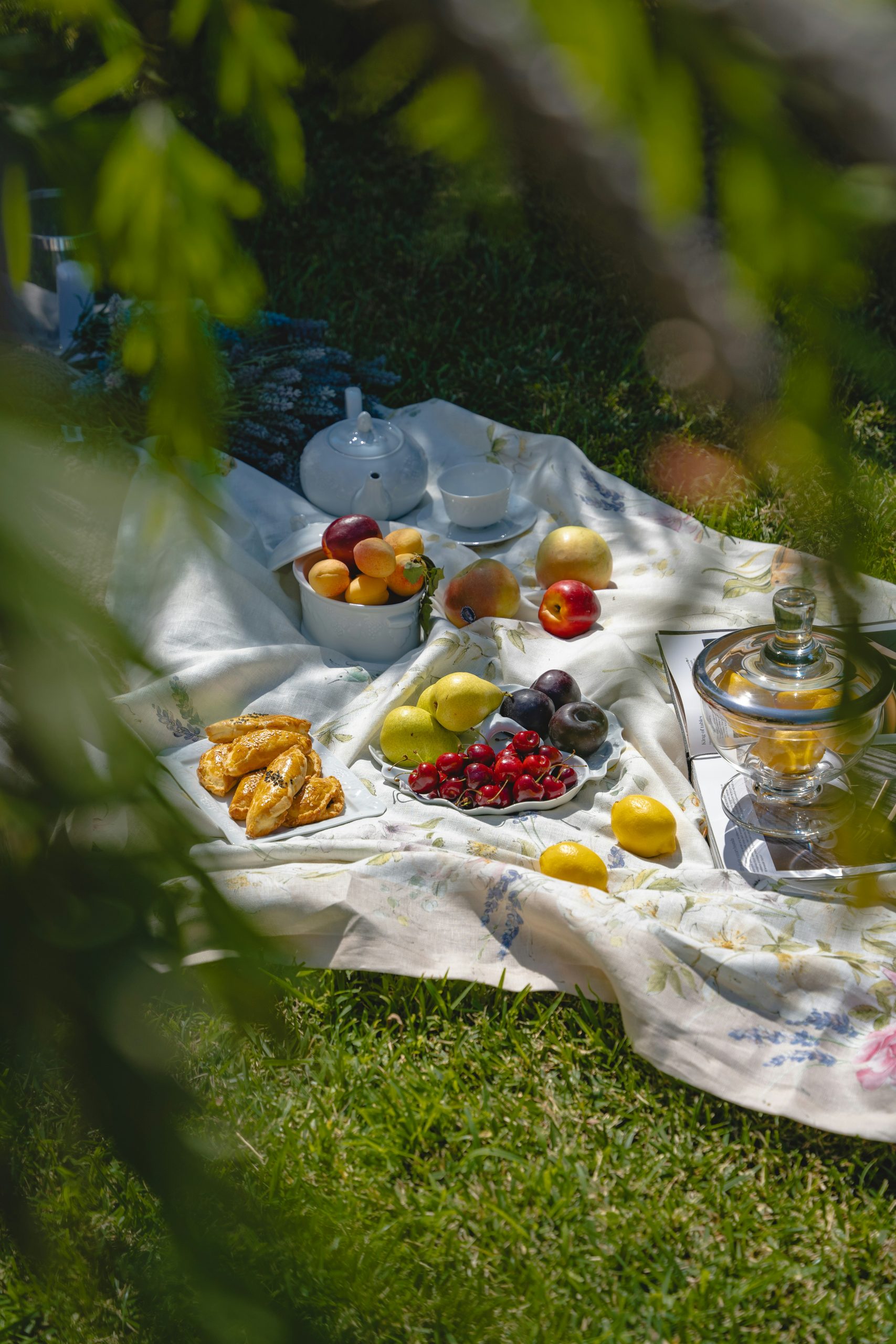 picnic__