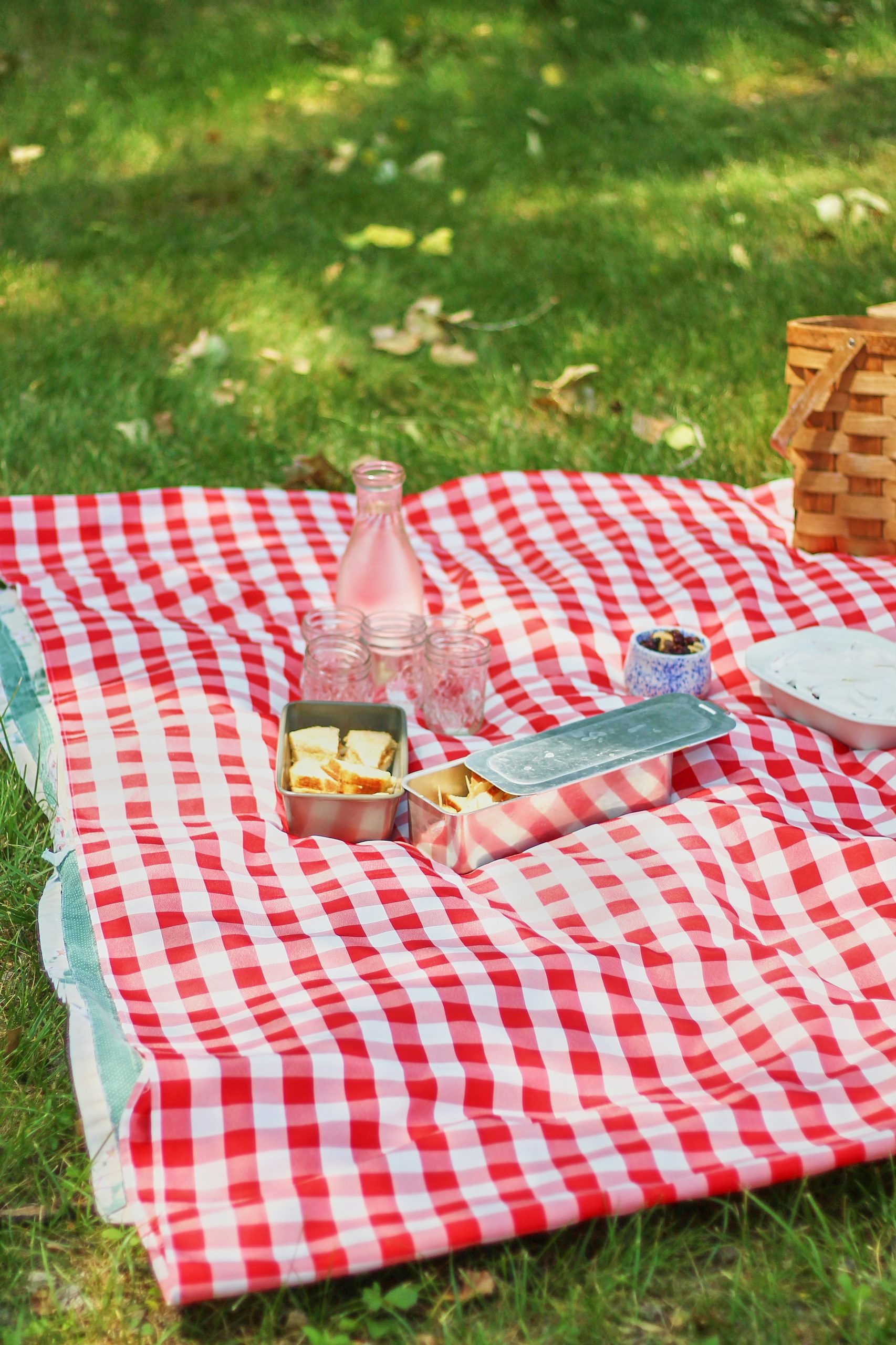 picnic___