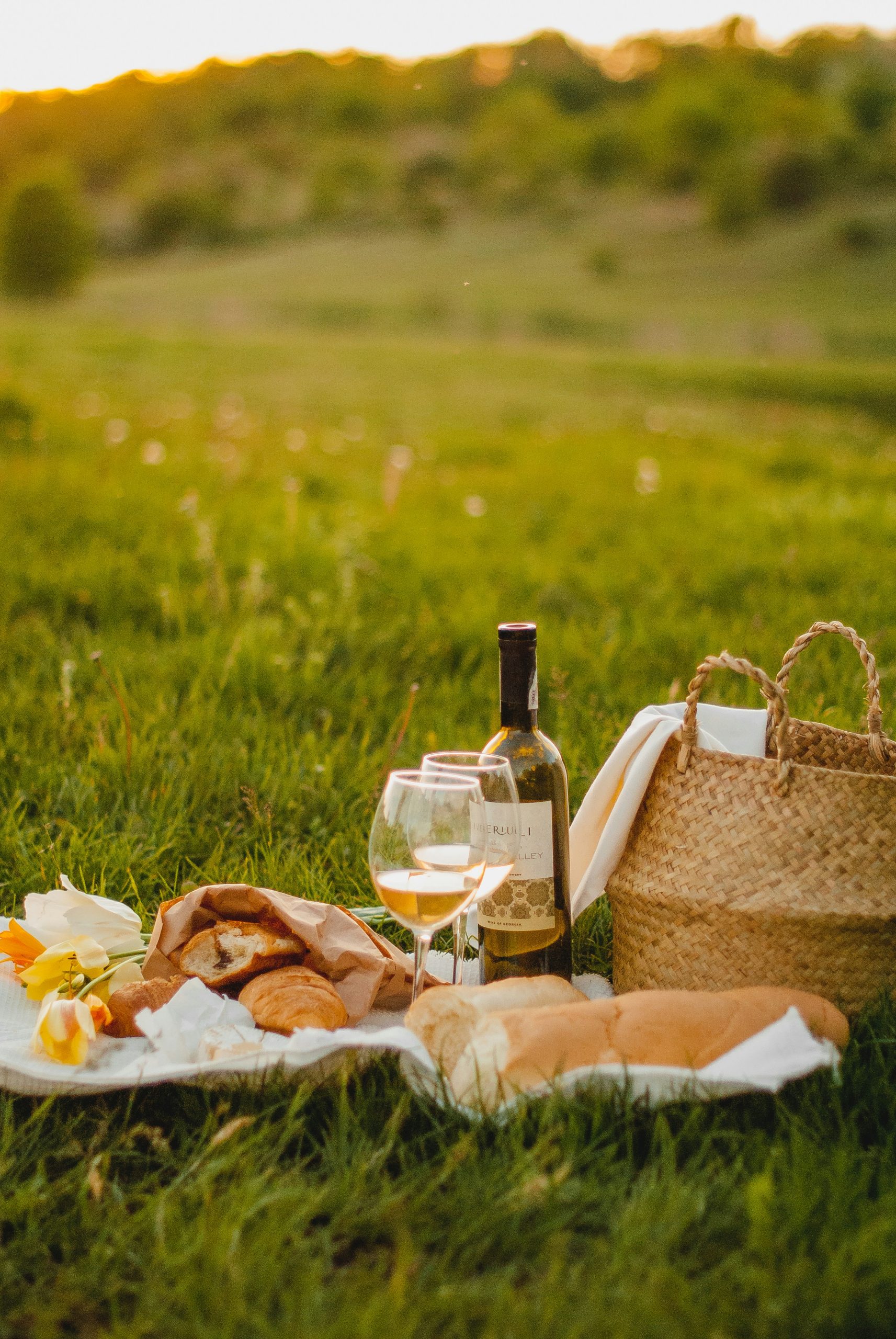 picnic____