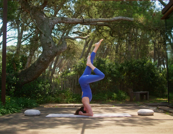 Clase de yoga al aire libre entre pinares