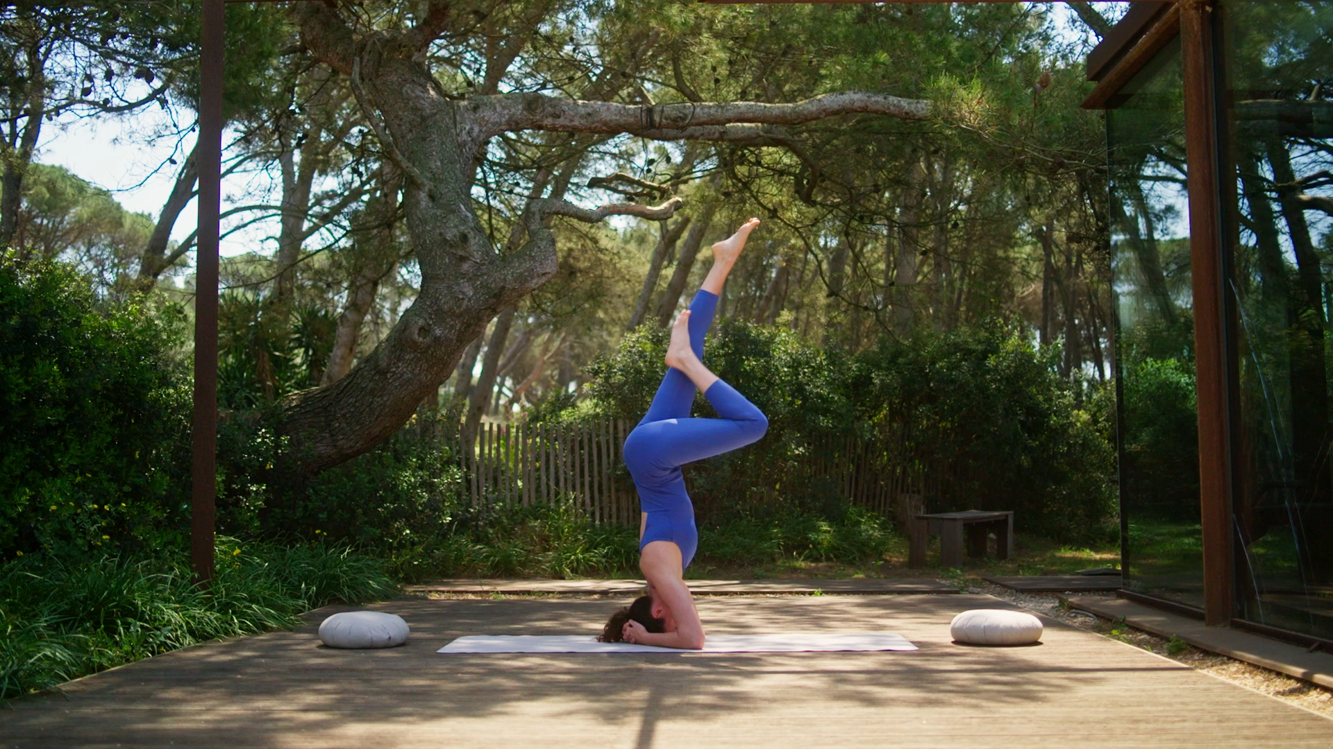 Mujer haciendo una postura de yoga invertida bajo un pino en Hostal Empúries