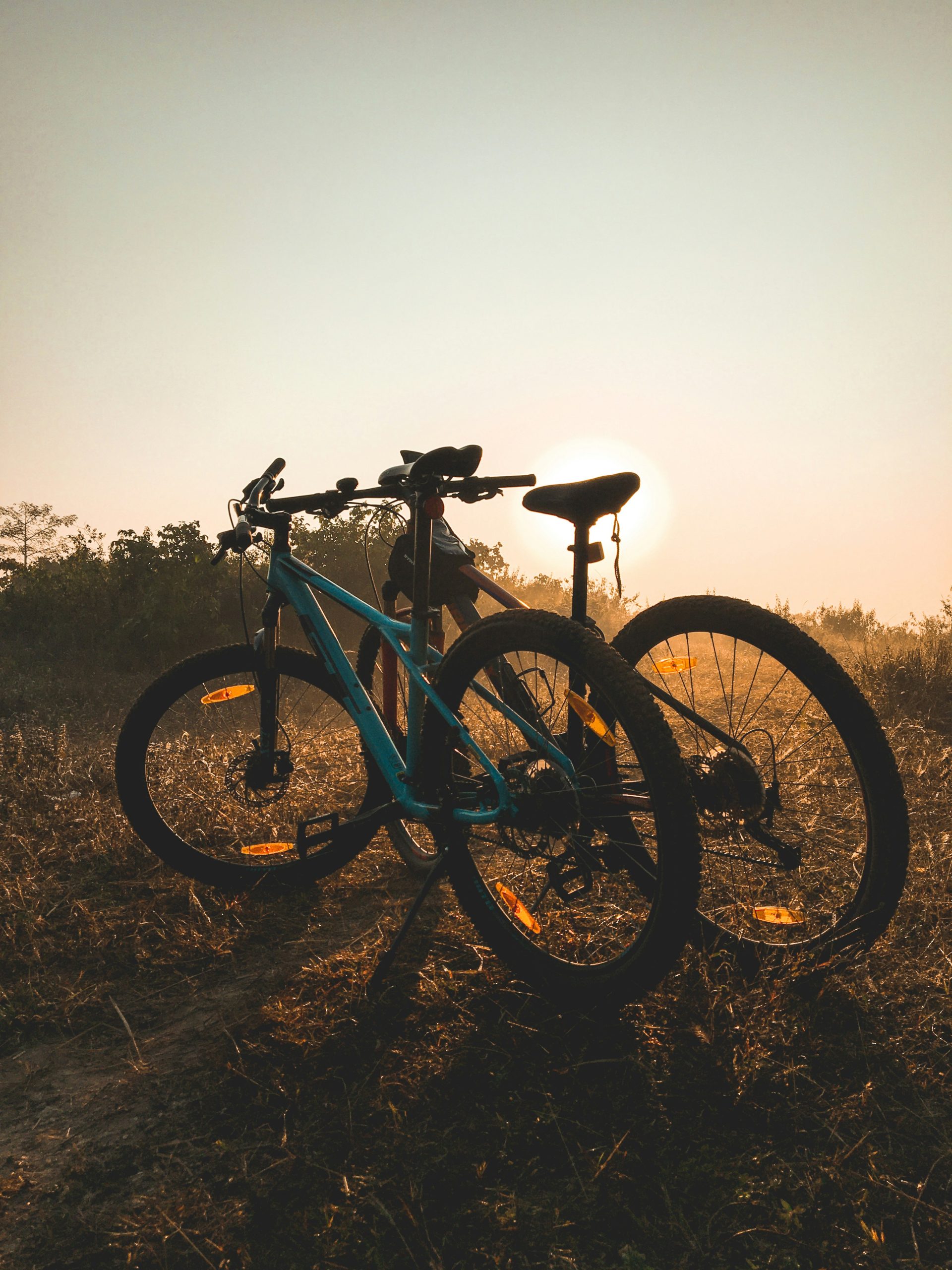 rajat-OXqXELsx350-unsplash (1)